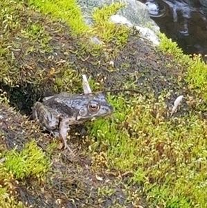 Meet your Posher, Jodi